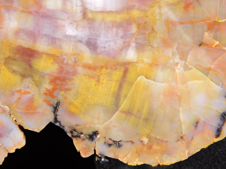 May include: Close-up of a polished, colorful stone with a natural, layered pattern. The stone features a mix of yellow, orange, white, and red hues, with dark black accents. The surface has a smooth, glossy appearance.