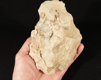 HUGE! One MILLION Year Old! Early Stone Age ACHEULEAN Hand Axe Mali 900gr