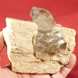 Rauchquarz Kristall auf einem Großen Microcline Kristall Aus Brasilien 541gr