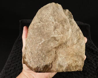 Big CUT DINOSAUR LEG Bone Fossil From Jurassic Utah! 100% Natural 2595gr