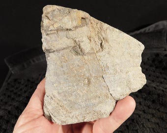 Big DINOSAUR Bone Fossil From Jurassic Utah! 100% Natural 1330gr