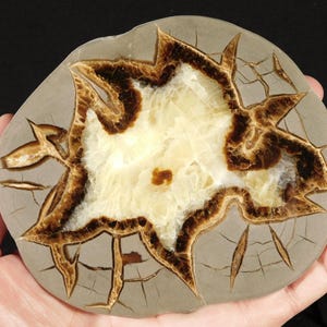 Larger! Polished SEPTARIAN Nodule Slab With a Lightning Like Pattern! Utah 308gr