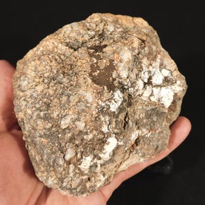 May include: A rough, irregular rock specimen featuring a coarse-grained texture with a mix of white, gray, and tan mineral inclusions. The surface displays visible crystalline structures and dark, earthy patches throughout the stone's uneven exterior.