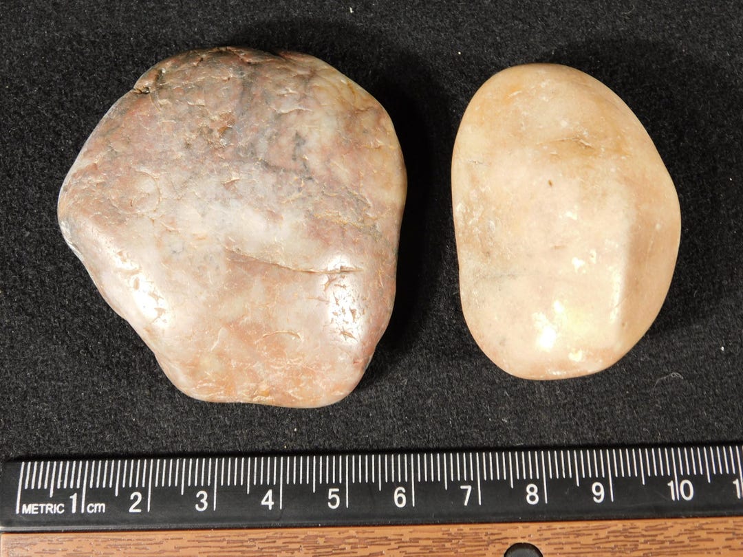 TWO! Dinosaur Gastroliths or Stomach Stones 100% Natural Jurassic Utah ...