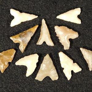 Grote partij van TIEN! Little Ancient Tidikelt Pijltjes of Bird Points 1.21