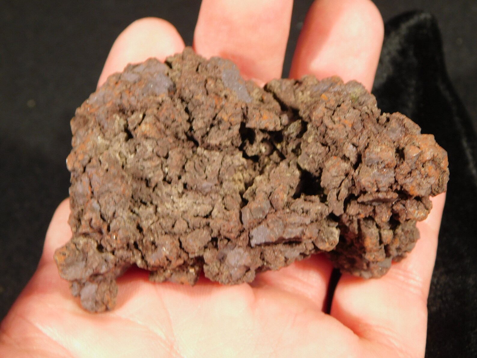 Crocodile or Turtle Coprolite Fossil 175gr | Etsy