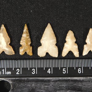 Lot of FIVE Ancient TRIPLE Notch Tidikelt ARROWHEAD s or Bird Points 5.60