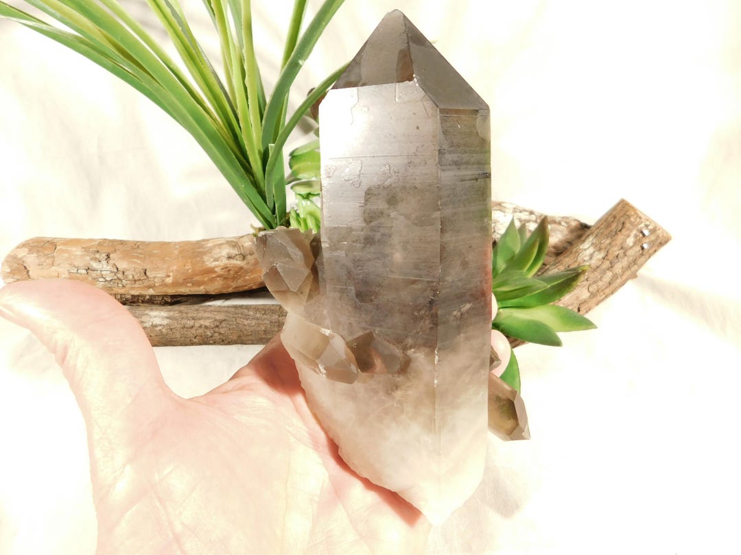 SIX Points! BIG! SMOKY Quartz Crystal Cluster Brazil 602gr - Etsy