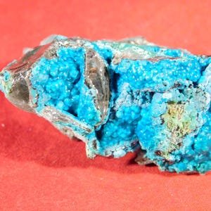 Very Rare Bright BLUE! Chrysocolla Cluster with Quartz 100% Natural Peru 75.0gr