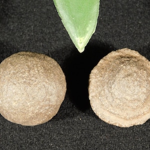 Small Moqui Marble or Shaman Stone PAIR 100% Natural Utah 37.2gr