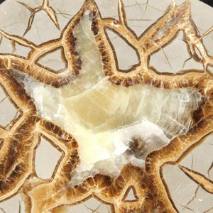 Lighting Like Pattern! Polished SEPTARIAN Nodule Slab With Stand From Utah 292gr