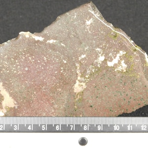 May include: A rough-edged, irregularly shaped stone with a mix of red, green, and white hues. The stone is approximately 5 inches long, with a metric ruler placed below for scale. The stone's surface has a speckled appearance.