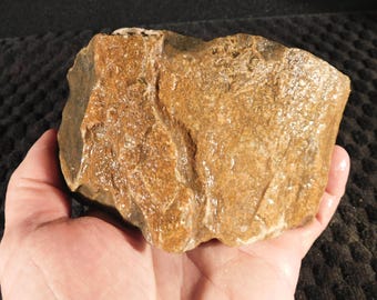 ¡Tonos azules más grandes! Hueso fósil de dinosaurio agatizado del Jurásico de Utah, 100 % natural, 890 g