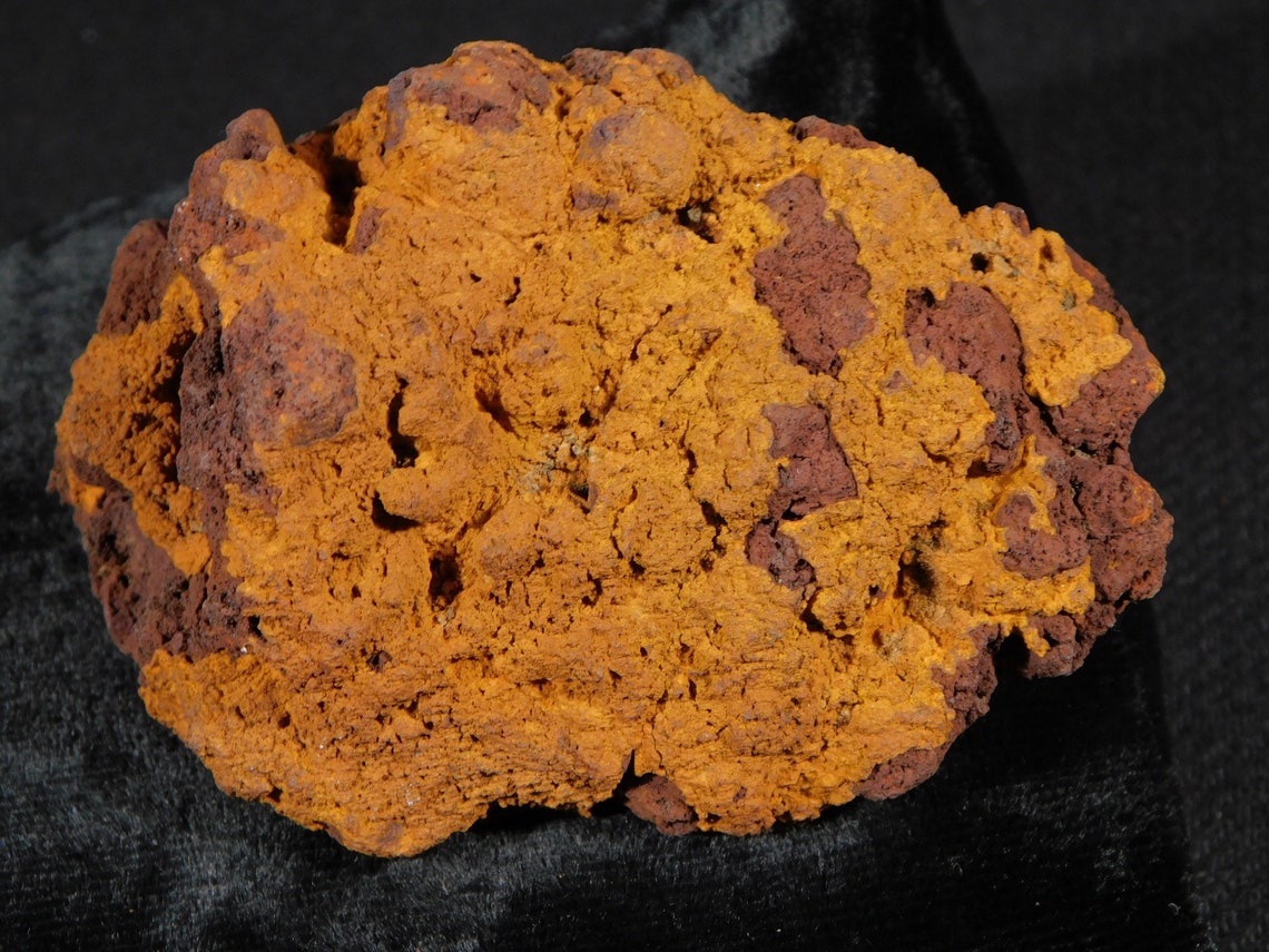 Crocodile or Turtle Coprolite Fossil 227gr | Etsy