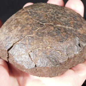 Puede incluir: Un espécimen de piedra redondeado de color marrón oscuro con una superficie rugosa y texturizada y grietas visibles de color claro en la parte superior. El objeto tiene una forma aplanada de disco con bordes irregulares y aspecto denso.