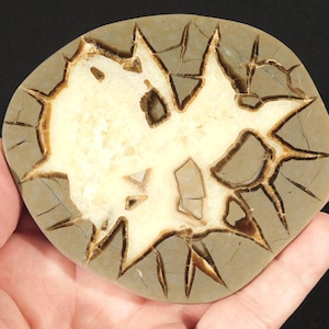 Lighting Like Pattern! Polished SEPTARIAN Nodule Slab With Stand From Utah 198gr