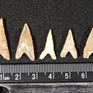 Lot of FIVE Nice Ancient BOTTOM Notch Tidikelt ARROWHEAD s or Bird Points 6.37