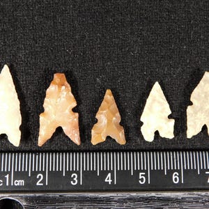 Lot of FIVE Ancient TRIPLE Notch Tidikelt ARROWHEAD s or Bird Points 4.43
