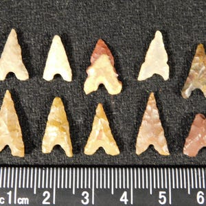 Grote partij van TIEN! Little Ancient Tidikelt Pijltjes of Bird Points 1.13