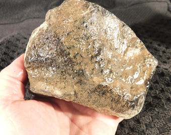 Larger! DINOSAUR Bone Fossil From Jurassic Utah! 100% Natural 980gr