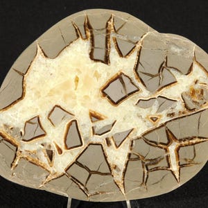 Polished SEPTARIAN Nodule Slab With a Lightning Like Pattern! Utah 248gr