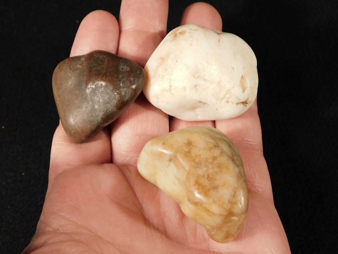 Lot of THREE! Dinosaur Gastroliths or Stomach Stones Jurassic Utah ...