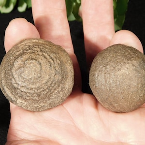 Larger MOQUI Marble or Shaman Stone PAIR 100% Natural From Utah 108gr