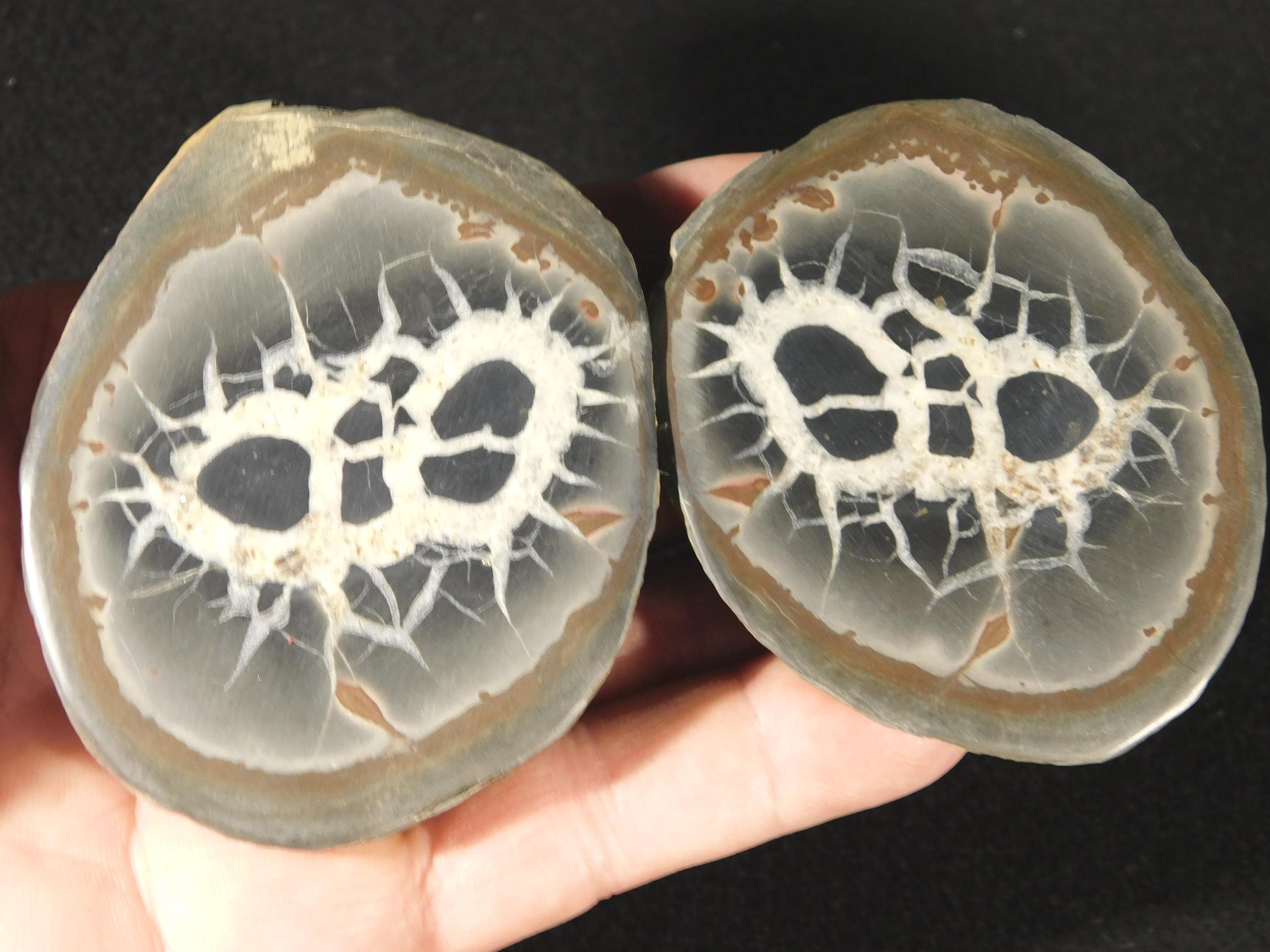 Larger! Split and Polished SEPTARIAN Nodule From Morocco 226gr - Etsy