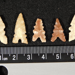 Veel van VIJF! EXCENTRIC Ancient Tidikelt Pijltjes of Bird Points 5,96