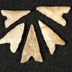 Lot of FIVE! Ancient Tidikelt ARROWHEAD s or Bird Points 7.09