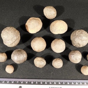 Big Lot of FIFTEEN! 100% Natural MOQUI Marble s or Shaman Stones Utah 733gr