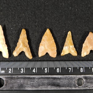 Lot of FIVE Nice Ancient BOTTOM Notch Tidikelt ARROWHEAD s or Bird Points 7.32