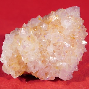 SPIRIT Quartz or CACTUS Quartz Ametrine Amethyst Crystal Cluster Africa 98.1gr