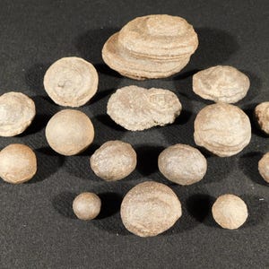 Big Lot of FIFTEEN! 100% Natural Moqui Marble s or Shaman Stones Utah 555gr
