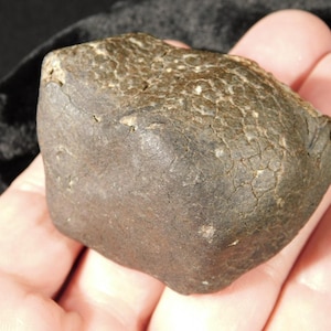 H6 Stony METEORITE Regmaglypts MÖRK Fusionskorpa och Kontraktionssprickor! 155gr