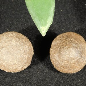 Small Moqui Marble or Shaman Stone PAIR 100% Natural From Utah 26.6gr