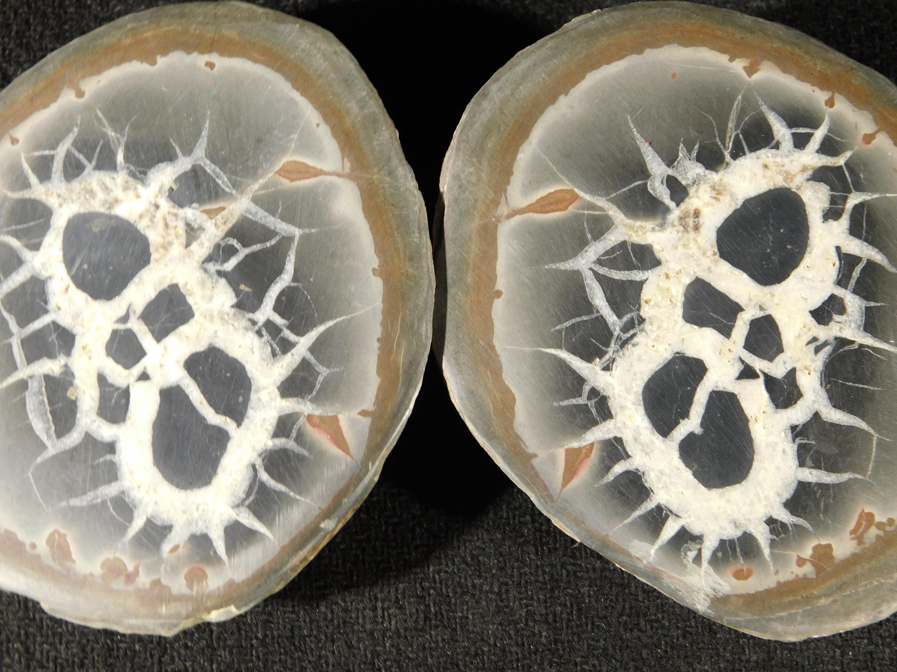 Larger! Split and Polished SEPTARIAN Nodule From Morocco 226gr - Etsy