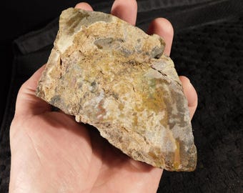 DINOSAUR Bone Fossil From Jurassic Utah! 100% Natural 683gr