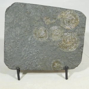 Easel Display Stand Medium Size Iron Black Color image 2