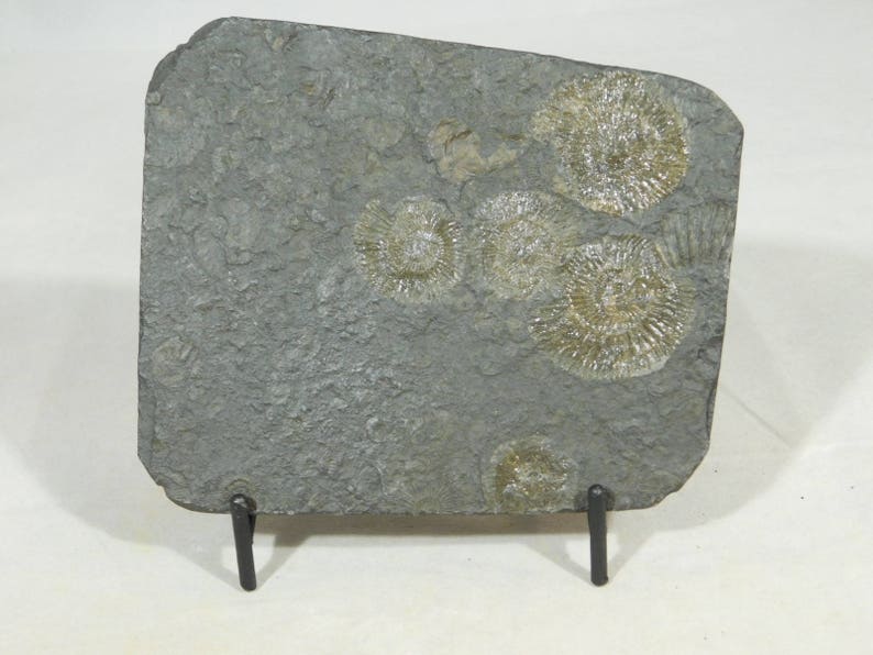 Easel Display Stand Medium Size Iron Black Color image 2