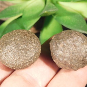 Small Moqui Marble or Shaman Stone PAIR 100% Natural From Utah 32.2gr