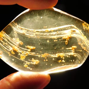 Polished Fossil AMBER With FOUR! Little TERMITE Fossils From Colombia 18.6gr