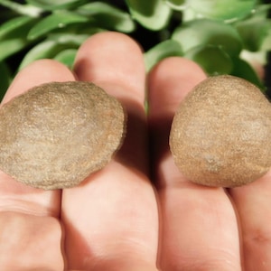 Small Moqui Marble Pair or Shaman Stone PAIR 100% Natural From Utah 37.3gr