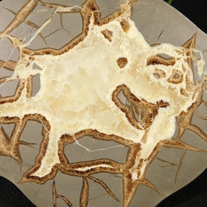 Big! Polished SEPTARIAN Nodule Slab With a Lightning Like Pattern! Utah 368gr