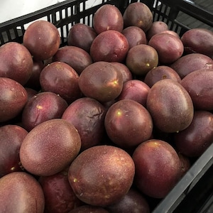 5 Lbs - ORGANIC Passion Fruit -- California Grown Purple Passiflora &#39;Frederick&#39;