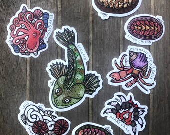 Intertidal Stickers