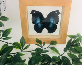 Real Framed Butterfly