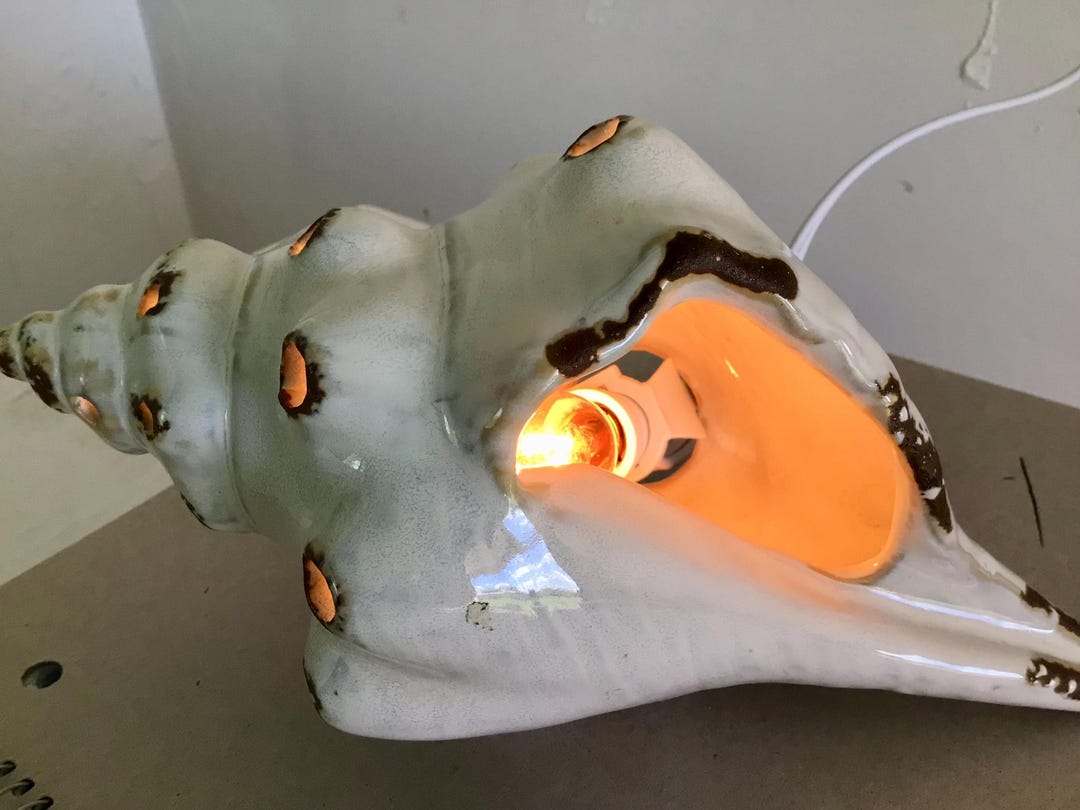 Ceramic Shell Light-shell Night Light-beach House Decor-free SHIPPING ...