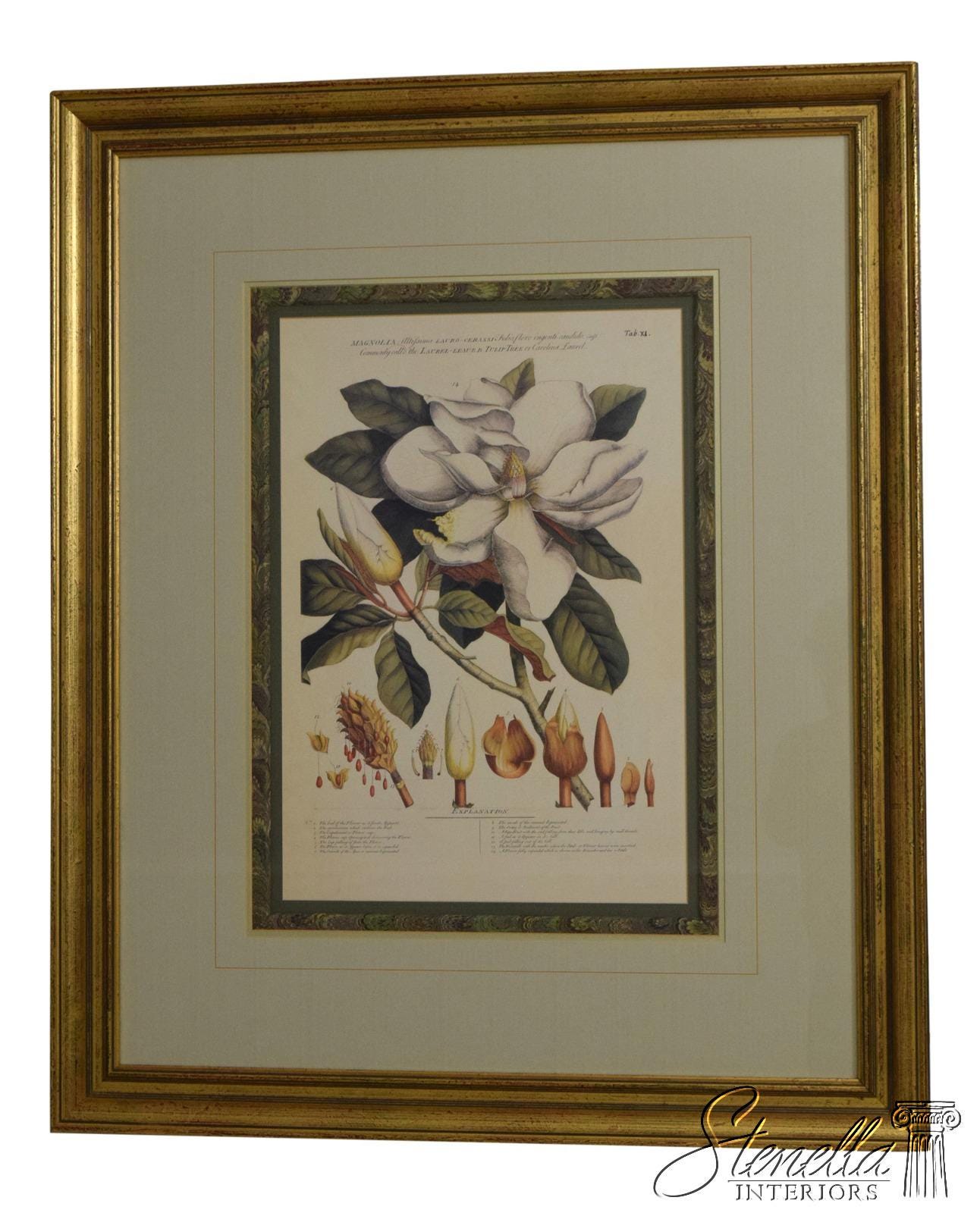 F65156EC: Large Professionally Framed & Matted Magnolia Print