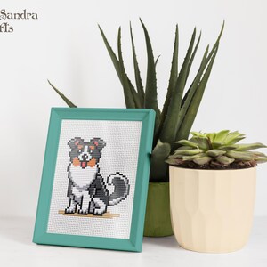A vibrant, teal-framed cross-stitch artwork of a sitting dog, featuring black, brown, and white colors, displayed against a bright white background. Nearby, there are two potted plantsa tall, green aloe vera plant and a succulent in a beige geometric pot. The image conveys a cozy and artistic home decor vibe, perfect for dog lovers and plant enthusiasts. Ideal for gift ideas or interior design inspiration, this arrangement combines the charm of handcrafted art with nature's beauty.